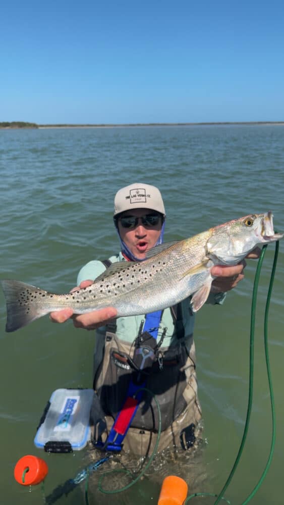 Wade Strap - Pink - Image 4